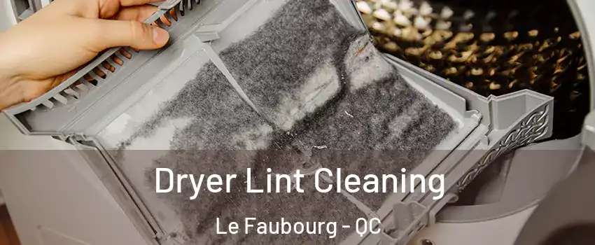  Dryer Lint Cleaning Le Faubourg - QC