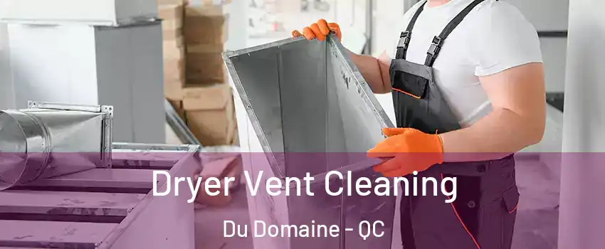  Dryer Vent Cleaning Du Domaine - QC