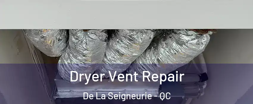  Dryer Vent Repair De La Seigneurie - QC