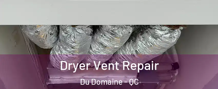  Dryer Vent Repair Du Domaine - QC