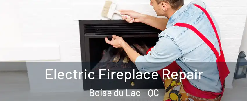  Electric Fireplace Repair Boise du Lac - QC