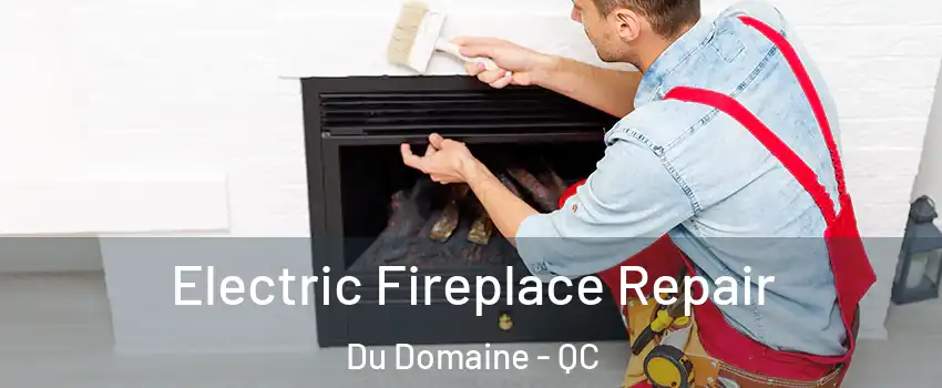  Electric Fireplace Repair Du Domaine - QC