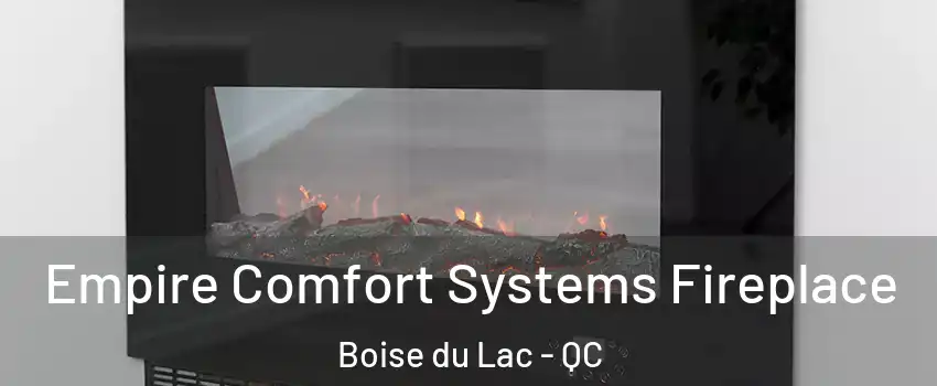  Empire Comfort Systems Fireplace Boise du Lac - QC