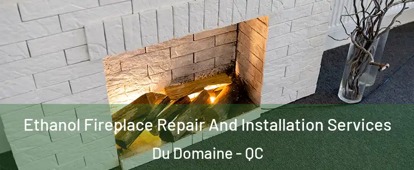  Ethanol Fireplace Repair And Installation Services Du Domaine - QC