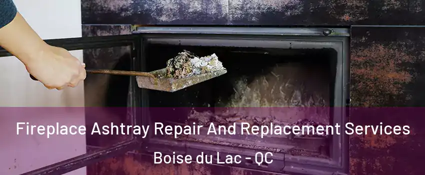  Fireplace Ashtray Repair And Replacement Services Boise du Lac - QC