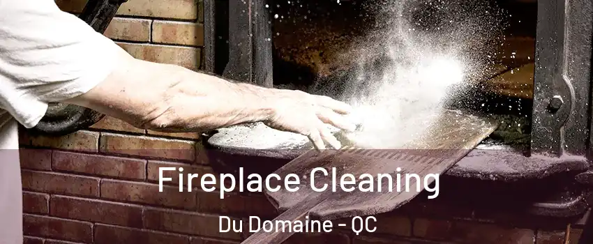  Fireplace Cleaning Du Domaine - QC