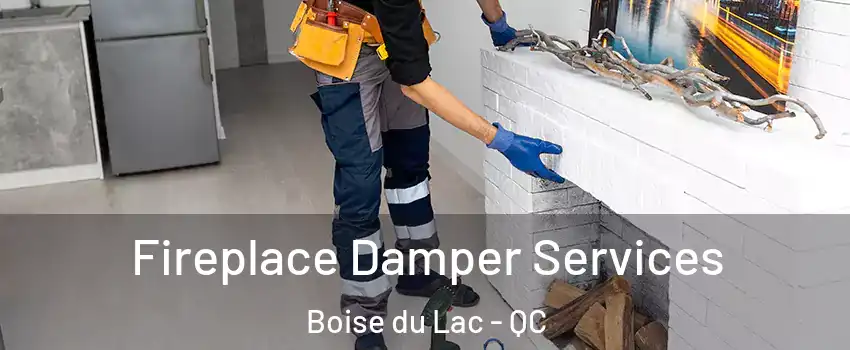 Fireplace Damper Services Boise du Lac - QC