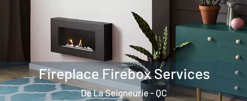  Fireplace Firebox Services De La Seigneurie - QC