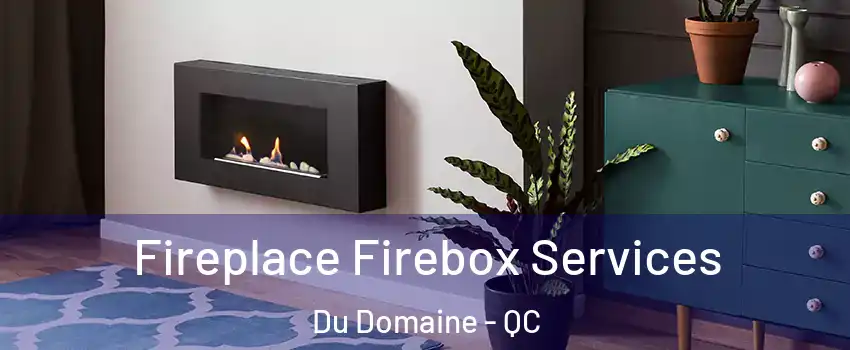  Fireplace Firebox Services Du Domaine - QC