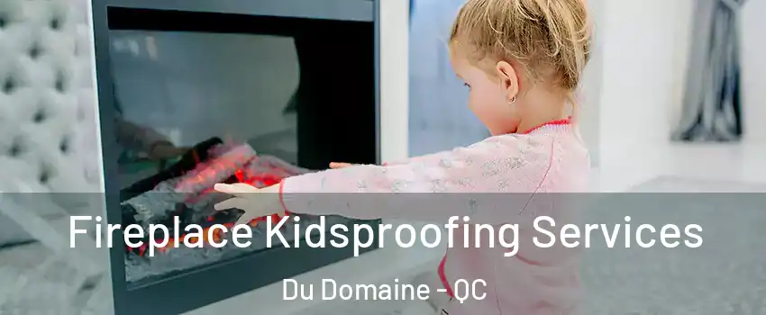  Fireplace Kidsproofing Services Du Domaine - QC