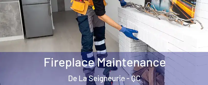  Fireplace Maintenance De La Seigneurie - QC