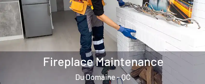  Fireplace Maintenance Du Domaine - QC
