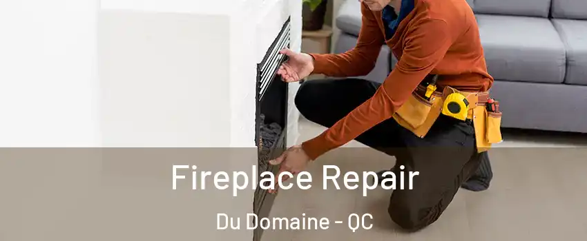  Fireplace Repair Du Domaine - QC