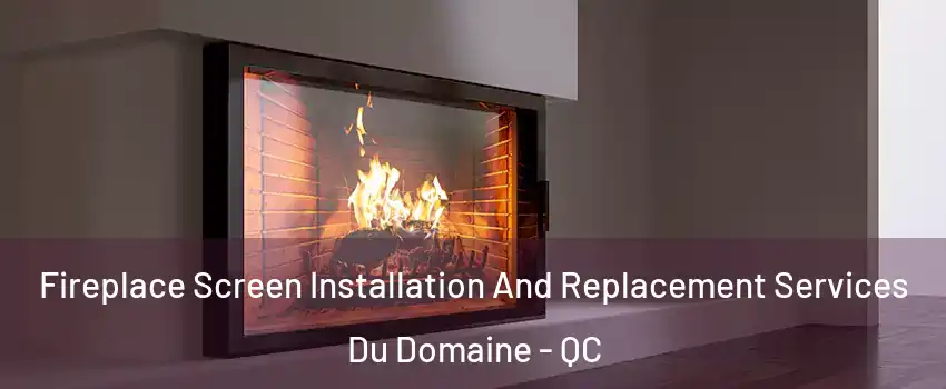  Fireplace Screen Installation And Replacement Services Du Domaine - QC