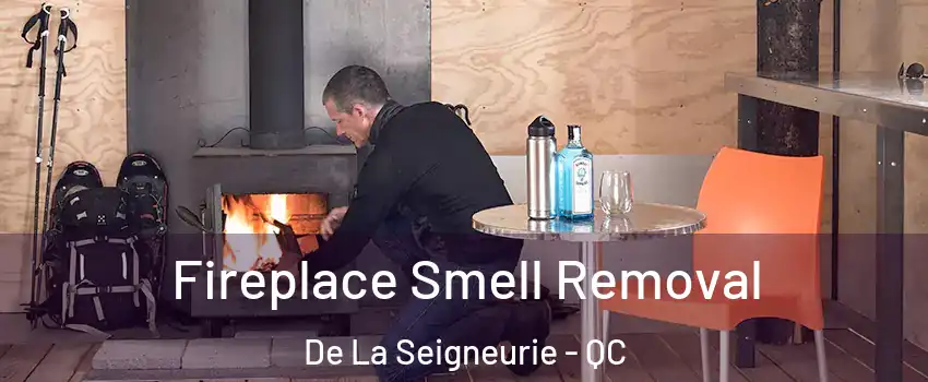  Fireplace Smell Removal De La Seigneurie - QC