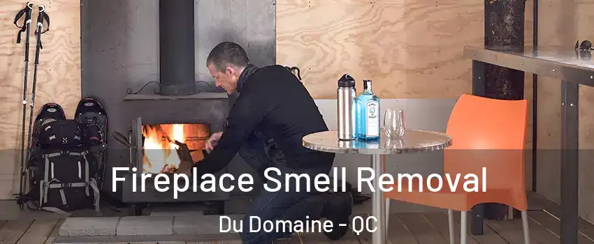  Fireplace Smell Removal Du Domaine - QC
