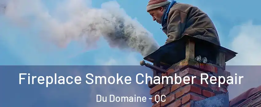  Fireplace Smoke Chamber Repair Du Domaine - QC