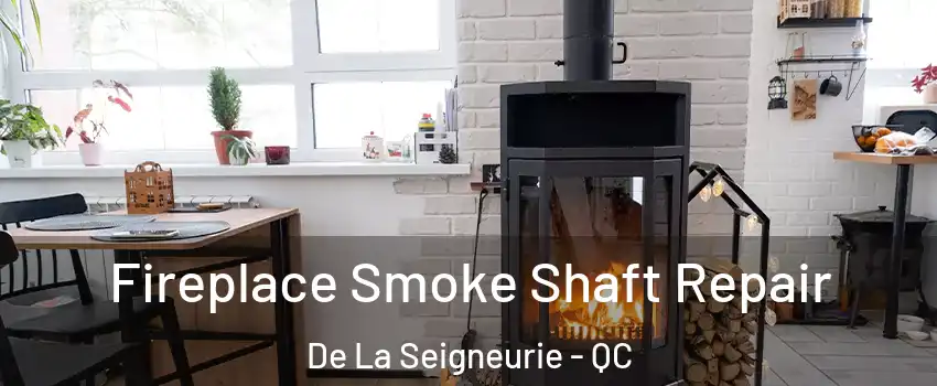  Fireplace Smoke Shaft Repair De La Seigneurie - QC