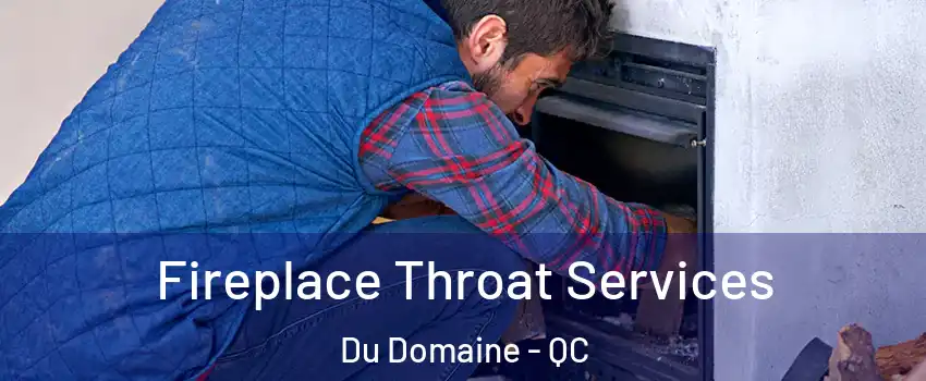  Fireplace Throat Services Du Domaine - QC