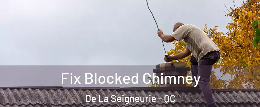  Fix Blocked Chimney De La Seigneurie - QC