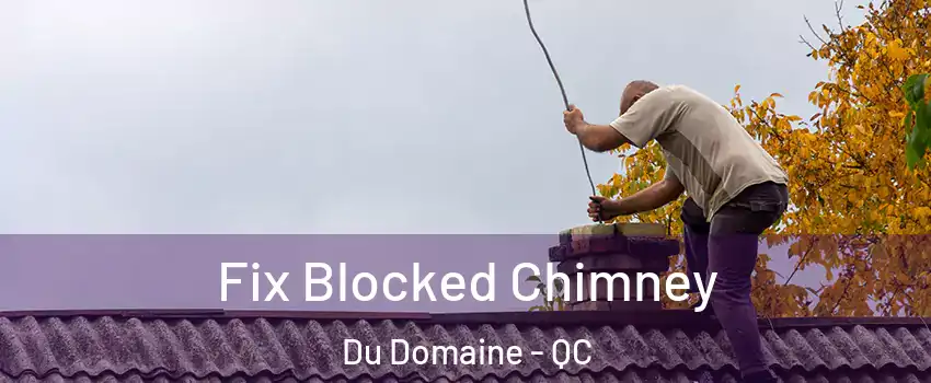  Fix Blocked Chimney Du Domaine - QC