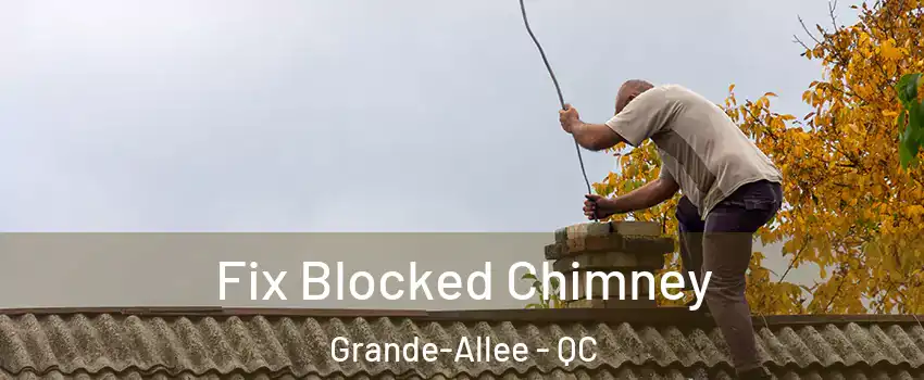  Fix Blocked Chimney Grande-Allee - QC