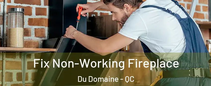  Fix Non-Working Fireplace Du Domaine - QC