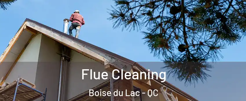  Flue Cleaning Boise du Lac - QC