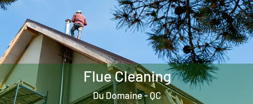  Flue Cleaning Du Domaine - QC