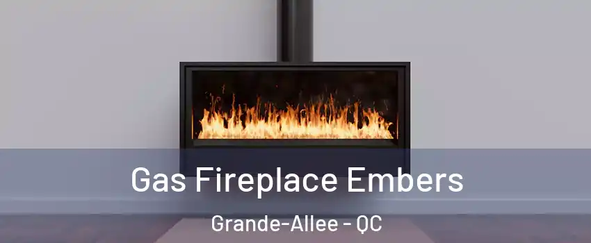  Gas Fireplace Embers Grande-Allee - QC