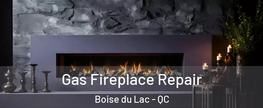  Gas Fireplace Repair Boise du Lac - QC