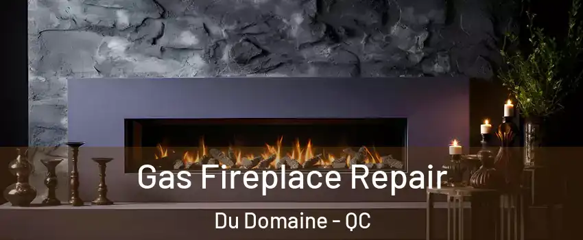  Gas Fireplace Repair Du Domaine - QC