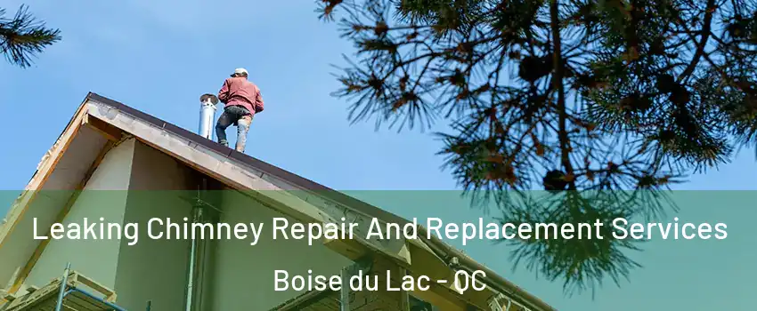  Leaking Chimney Repair And Replacement Services Boise du Lac - QC