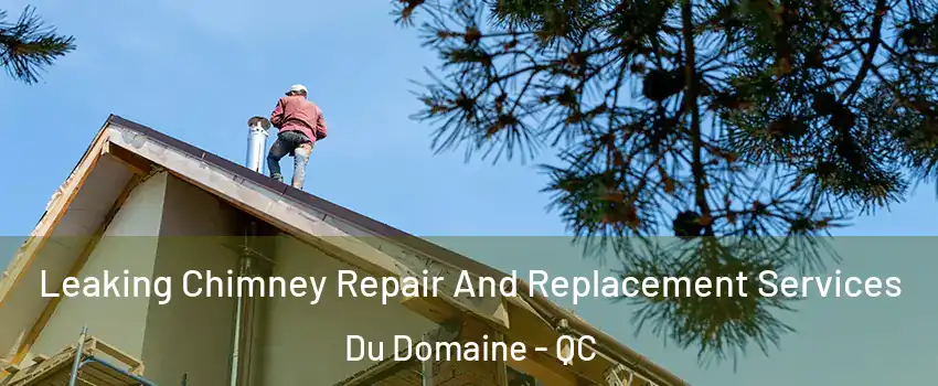  Leaking Chimney Repair And Replacement Services Du Domaine - QC