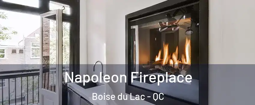  Napoleon Fireplace Boise du Lac - QC