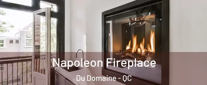  Napoleon Fireplace Du Domaine - QC