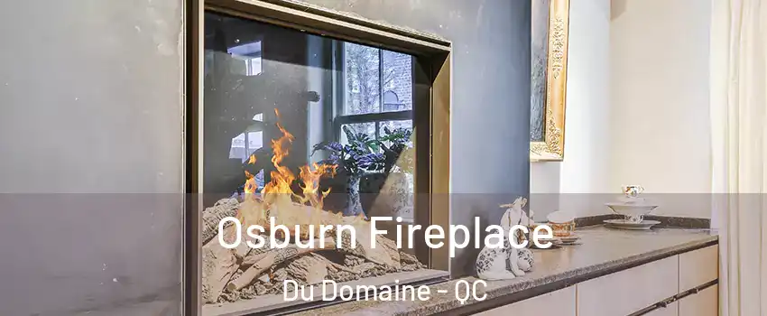  Osburn Fireplace Du Domaine - QC
