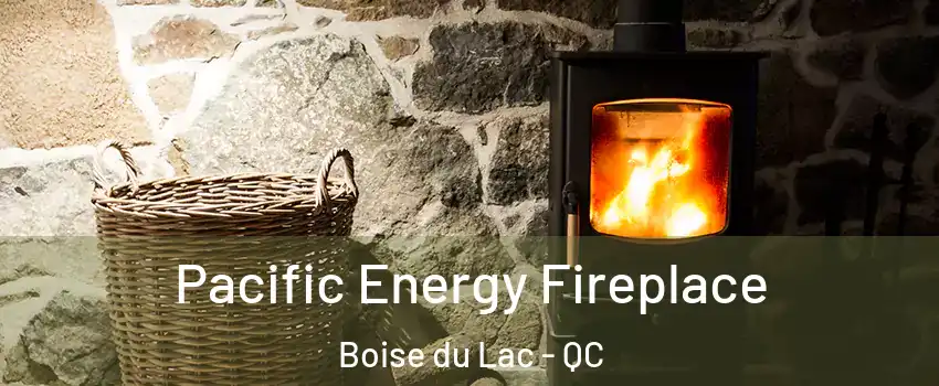  Pacific Energy Fireplace Boise du Lac - QC