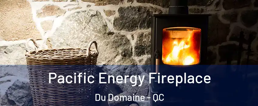  Pacific Energy Fireplace Du Domaine - QC