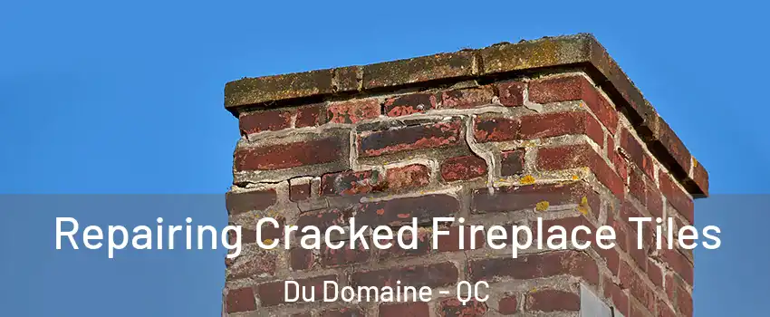  Repairing Cracked Fireplace Tiles Du Domaine - QC