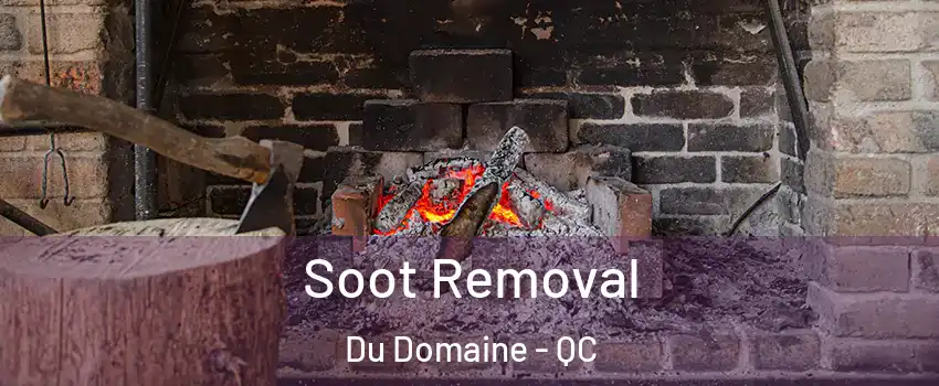  Soot Removal Du Domaine - QC