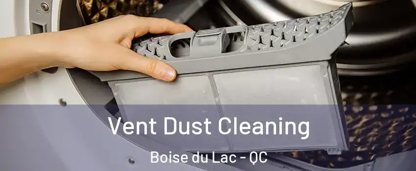  Vent Dust Cleaning Boise du Lac - QC