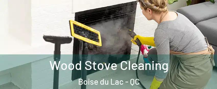  Wood Stove Cleaning Boise du Lac - QC