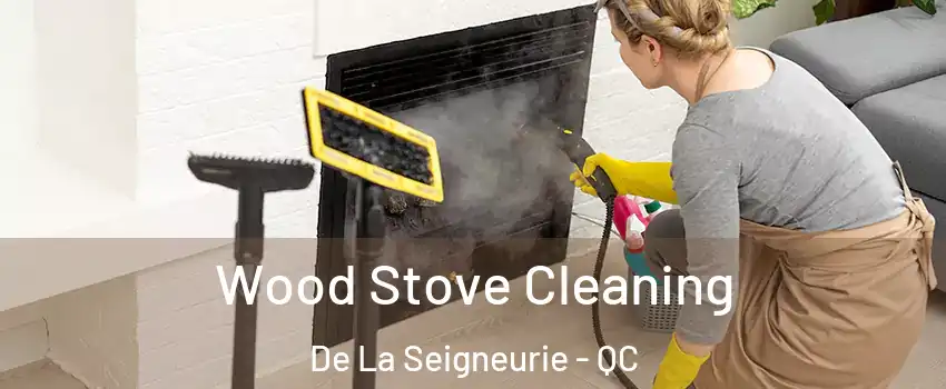  Wood Stove Cleaning De La Seigneurie - QC