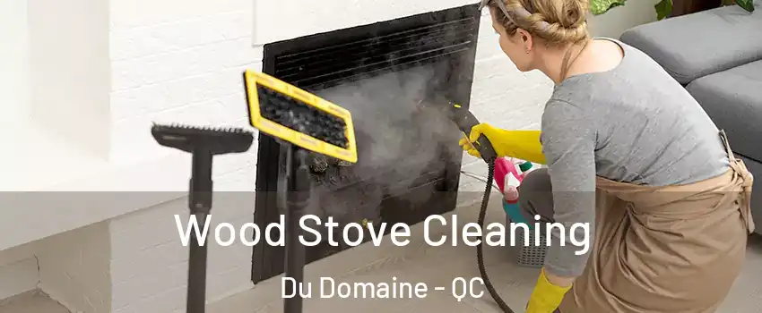  Wood Stove Cleaning Du Domaine - QC