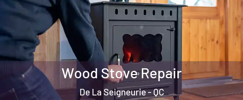  Wood Stove Repair De La Seigneurie - QC