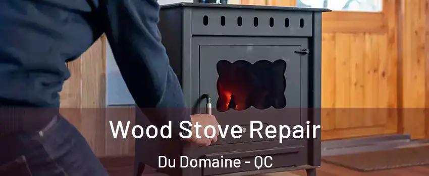  Wood Stove Repair Du Domaine - QC