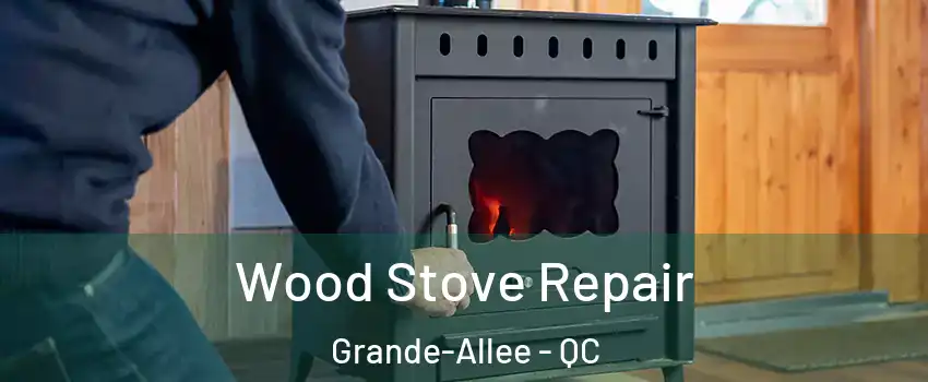  Wood Stove Repair Grande-Allee - QC